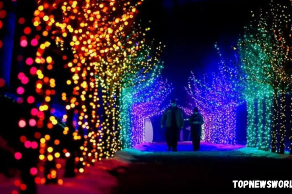 holiday lights near me